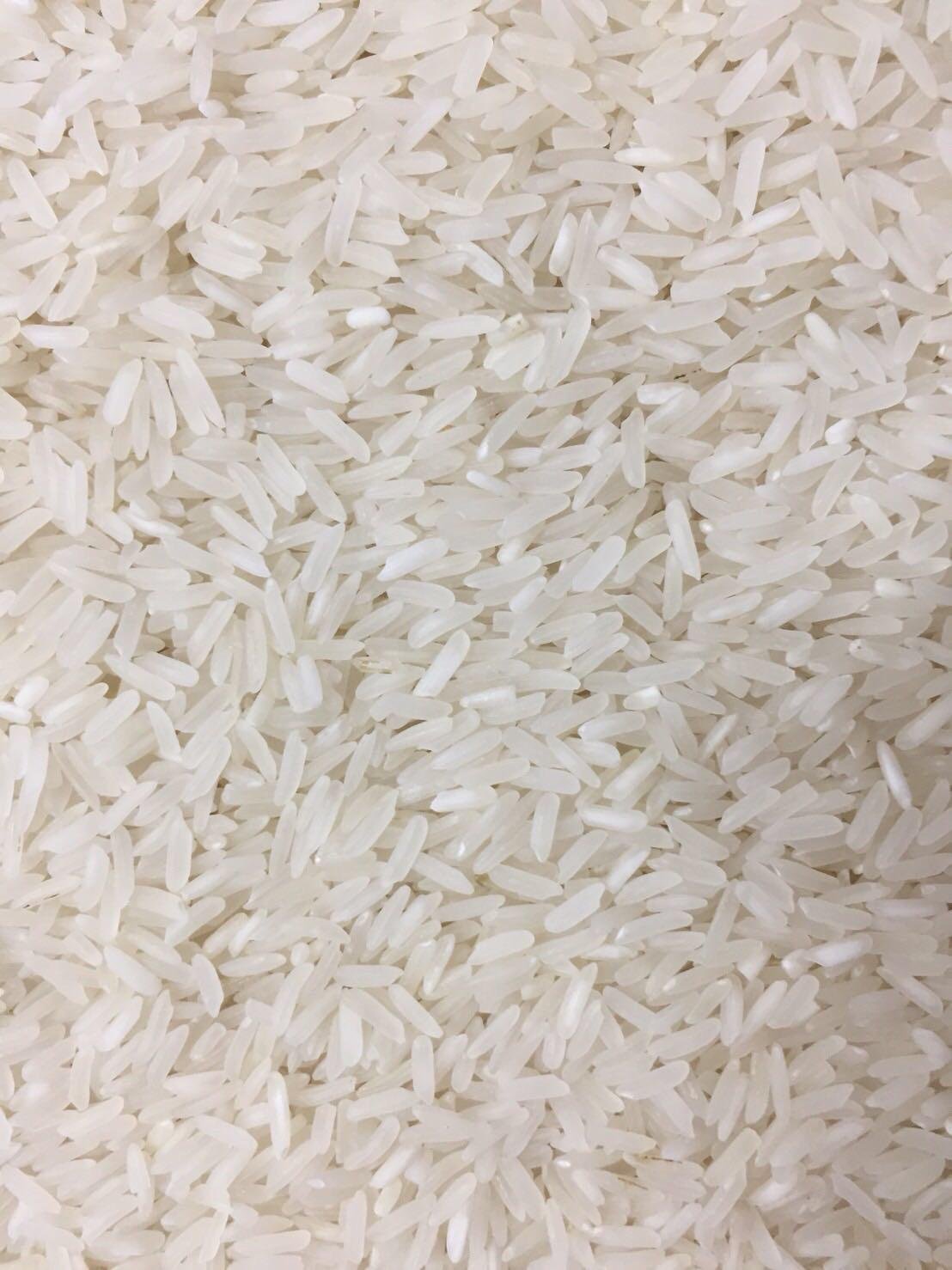 Thai Jasmine Rice