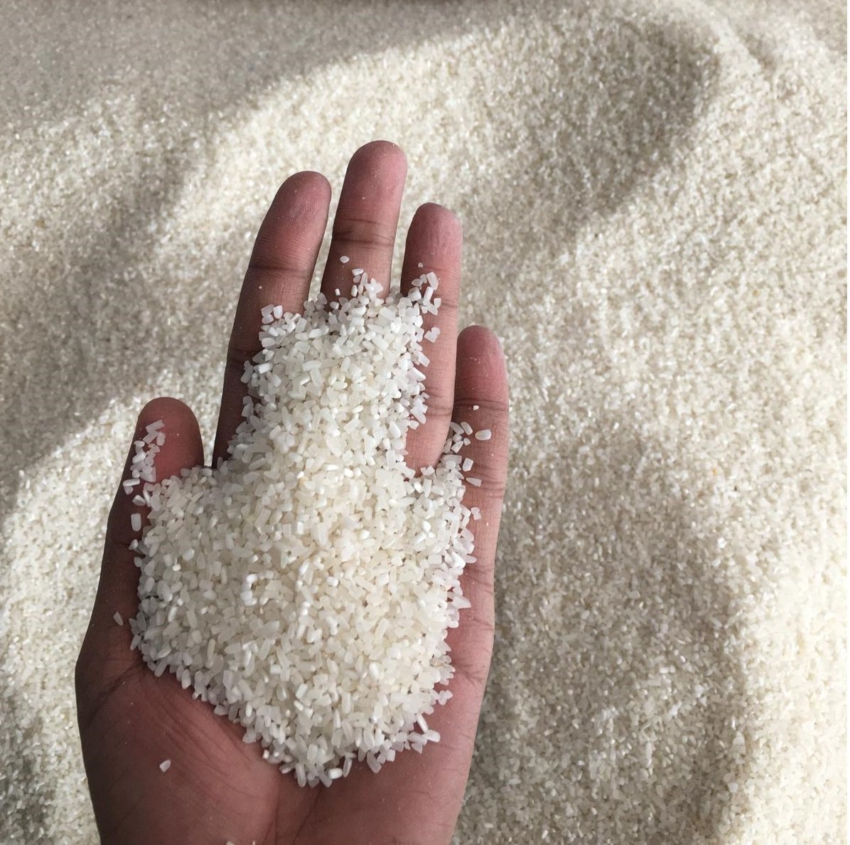 Thai White Broken Rice