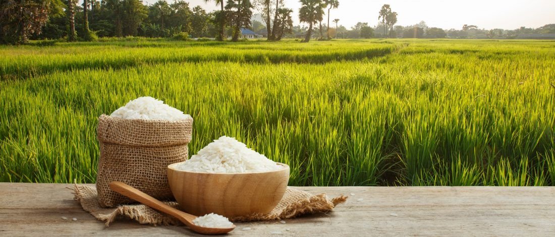 Thain Commodity Exports